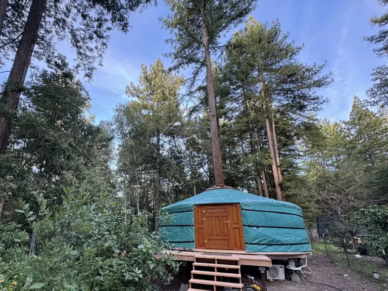 A yurt with green cover with tall trees in the background