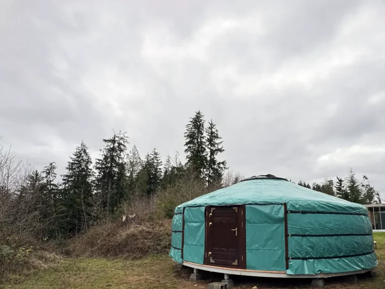 26ft yurt in green cover in an area surrounded by forest