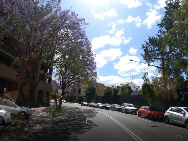 A road in Sydney with Jacaranda trees on the side