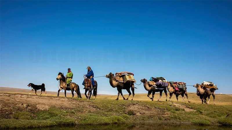 Two riders lead a string of pack camels along a stream bank beneath a deep blue sky.