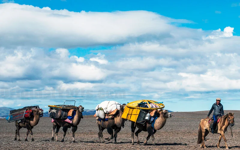 Camels laden with yellow chests and bundles march in line beneath a brilliant cloud-filled sky.