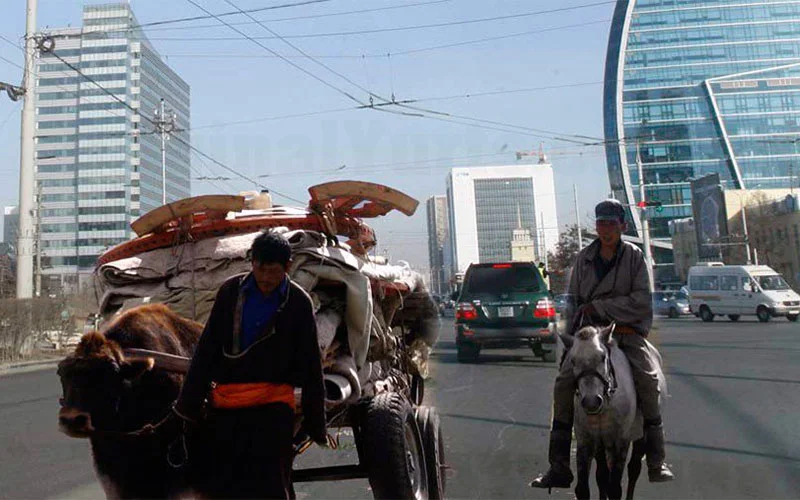 An ox cart stacked with yurt parts crosses a busy Ulaanbaatar street between glass towers.