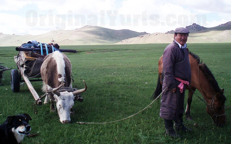 A herder with his horse, dog, and ox-drawn cart pauses on lush green steppe during migration.