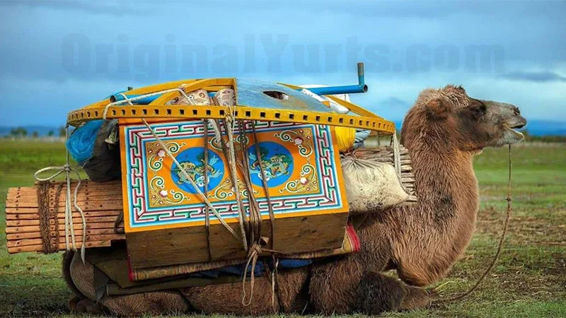 A seated Bactrian camel loaded with yurt parts and a painted blue chest on the open steppe.