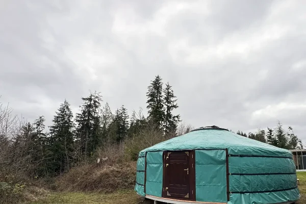 26ft yurt in green cover in an area surrounded by forest