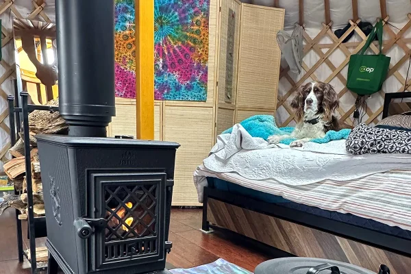 A stove in the center of the yurt A stove placed at the center of a yurt