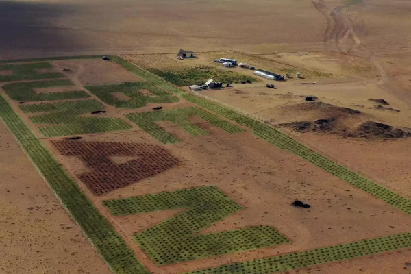 BeHumanShambala2056_Featured_768x700