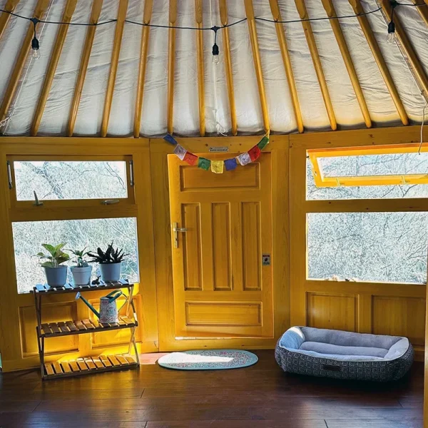 Interior of yellow wood painted yurt Interior of yurt with door and two windows in yellow painting