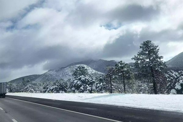 when-delivering-yurt-768x700px when-delivering-yurt-768x700px